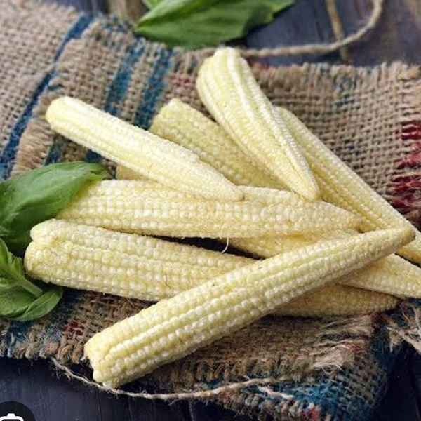 Baby corn (Fruits) 200gm