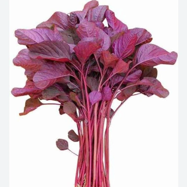 Red Cheera 1 Bunch (Veg)