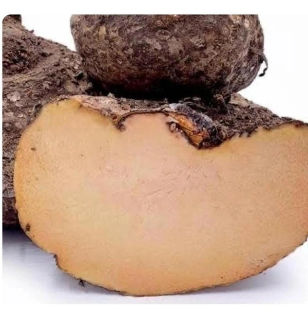 Chena / Elephant Foot yam 400 to 500gm (Veg)