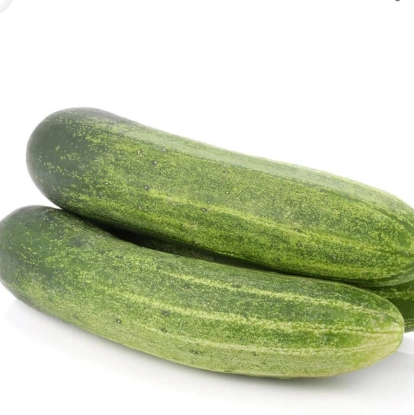 Cucumber 1no 200 To 250gm (Veg)