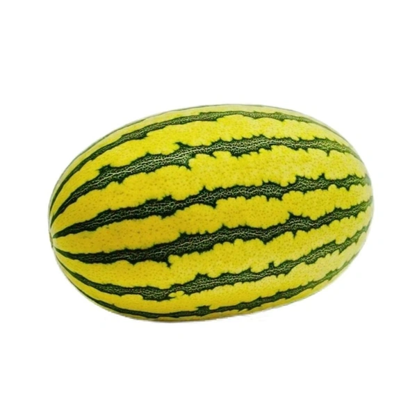Vellari 400 to 600gm (Veg)