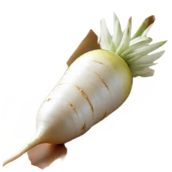 Radish 200 to 250g (Veg)