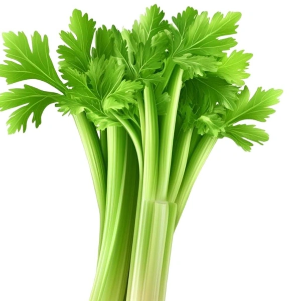 Celery cleaned 80 To 100g (Veg)