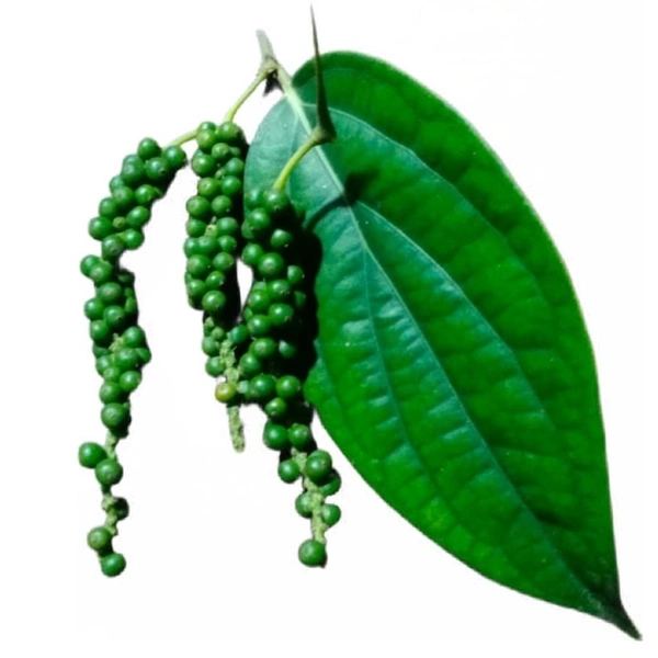 green pepper 4 bunches (Veg)