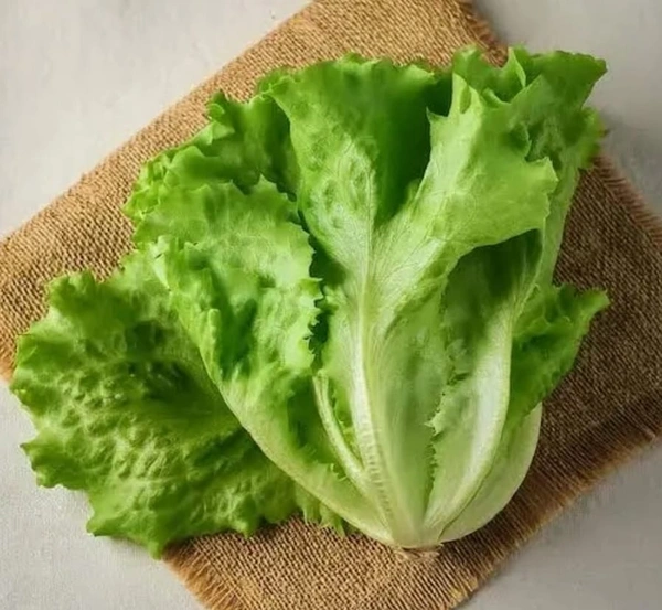 Lettuce (veg) 200-300 gm
