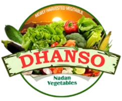 Dhanso - Logo