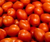 Tomato 1 Kg