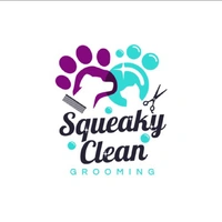 Squeaky Clean Squeaky Clean - Logo