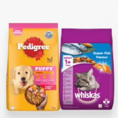 pet care