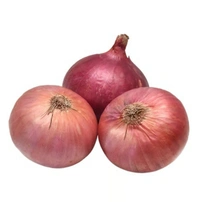 onion's Onion (Pyaz) - (0.95-1.05) kg