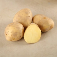 aloo Potato (Aloo) - 0.95 - 1.05 kg, (0.95-1.05) kg