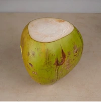 Tender Coconut (300+ ml) - 1 piece (300+ ml)