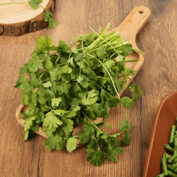 Coriander (Without Roots) (Dhaniya) - 100 g