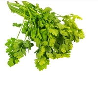 Coriander (Without Roots) (Dhaniya) - 100 g