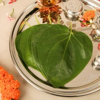 Betel Leaves (Paan Patta) - 5 pieces