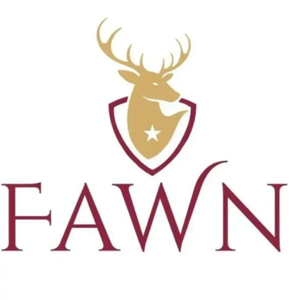 FAWN Stainless Steel Oil Pot With Spoon 900 Ml