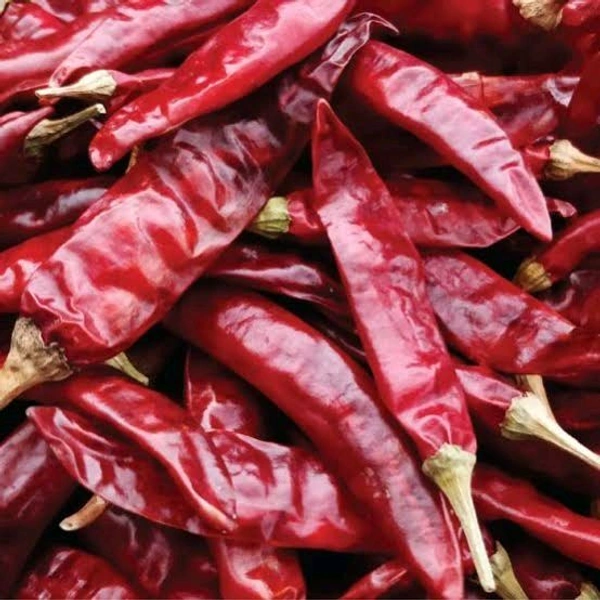 Red Chilli Guntur  - 500g