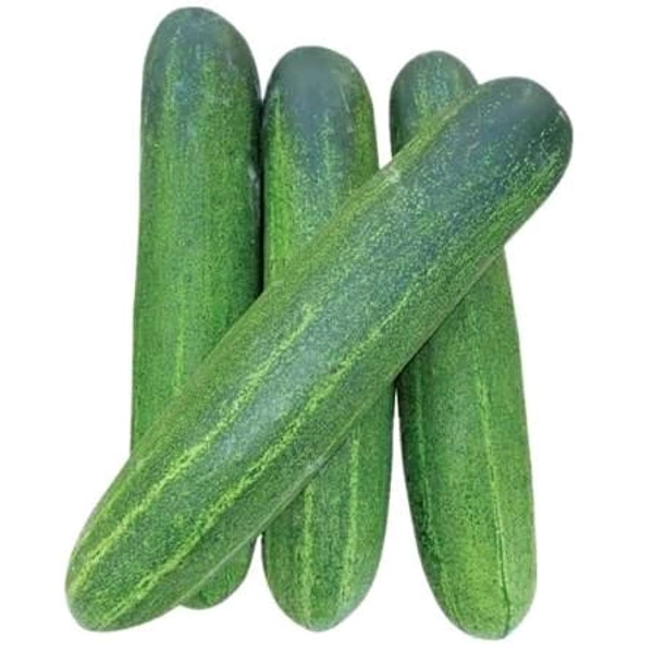 Cucumber (Indian)  - 1 Kg