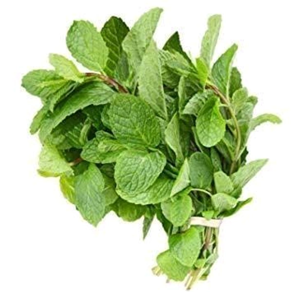 Podina (Mint) 1N