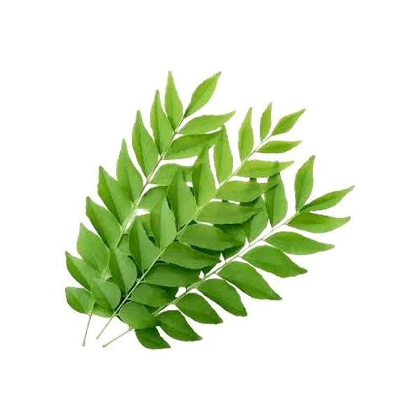 Curry Leaves 1N