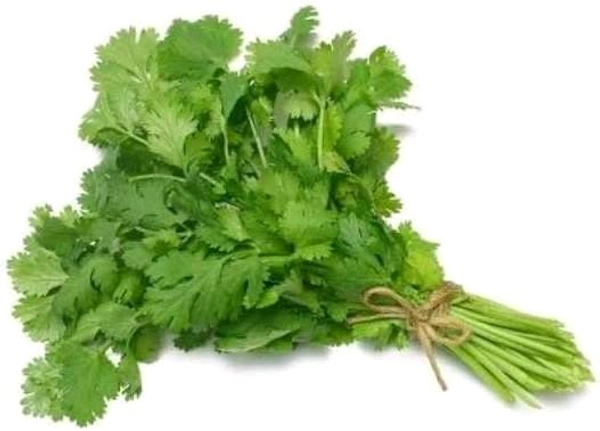 Coriander Leaves 1N