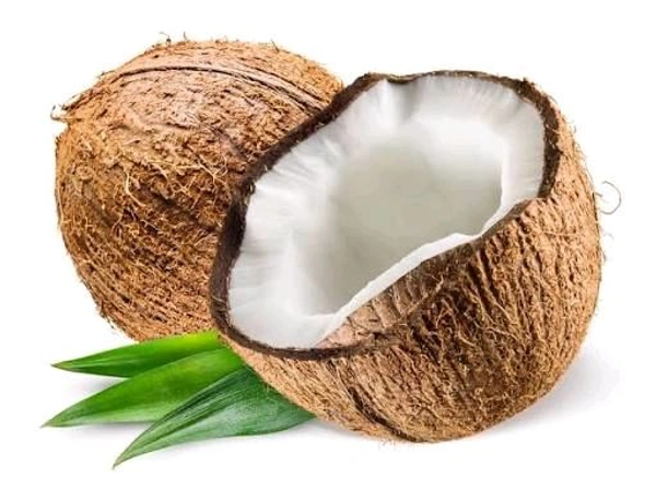 Coconut 1N