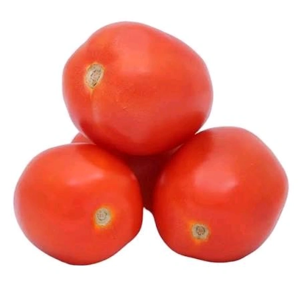 Hybrid Tomato 