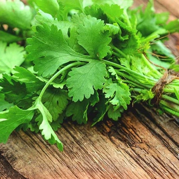 Coriander Leaves