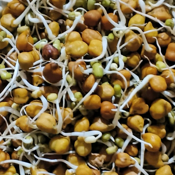 Ankurit Mung & Chana 60g - 60 Gram