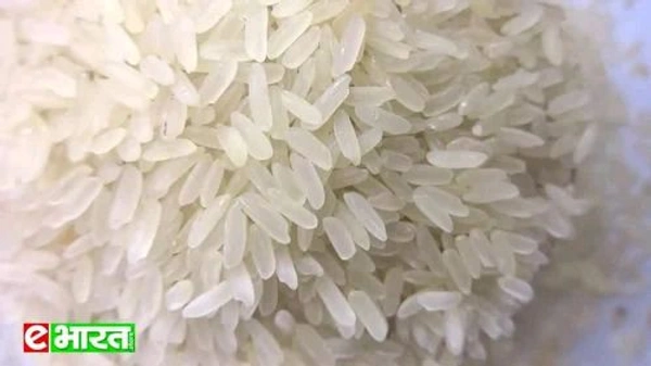 Buddha Bhog Platinum (बुद्धा भोग प्लेटिनम) 25Kg 