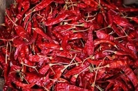 प्राइम टूर पैकेज न.:- 09,Prime Tour Packege No.:-09
