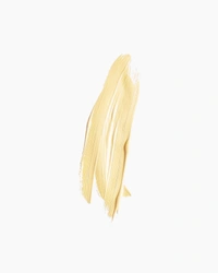 CAMEL Camel Artist Acrylic Colours of Unbleached Titanium 40 ml