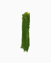 CAMEL Camel Artist Water Colours Individual tube of Sap Green in 9 ml