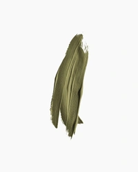 CAMEL Camel Artist Acrylic Colours Raw Umber 40 ml