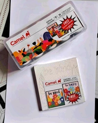 Camel Acrylic Ultra Colour & 2 Canvas ( 2" X 2" – 12 Rich Shades (15ml each) 