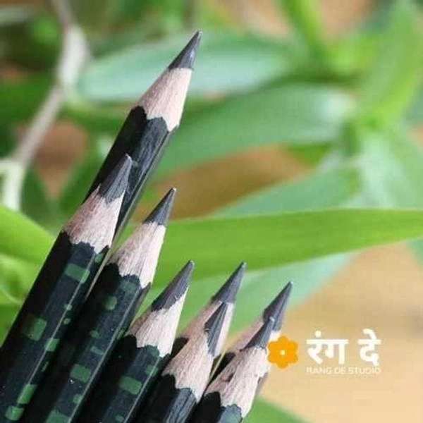 Camlin High Quality Drawing Pencil 10 B
