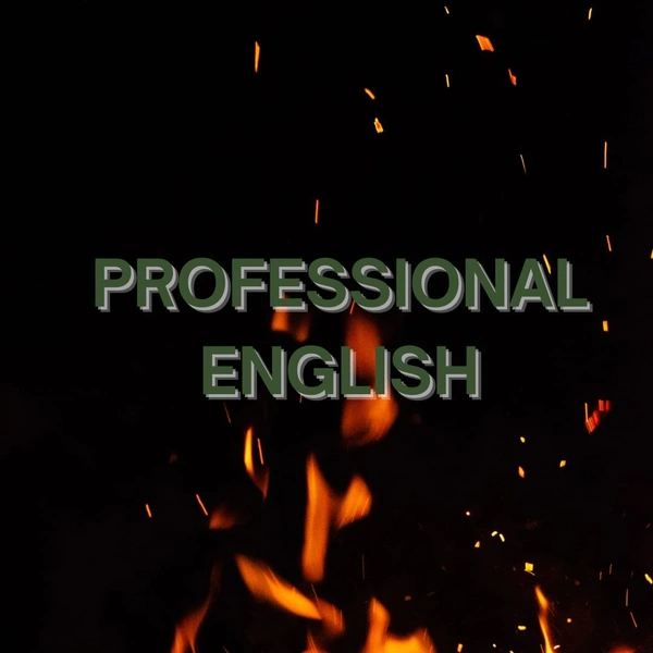 Professional English 