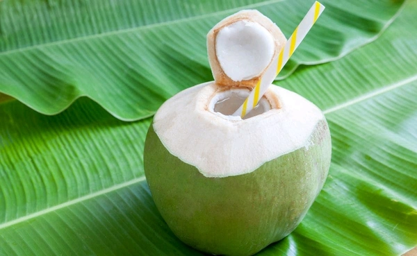 Coconut Water Big Size 1 Pic