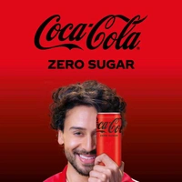 Coca-Cola Zero Sugar Soft Drink Can - 300 ml
