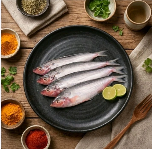Kolkata Meat Curry Cut Pabda Fish - 2 x 250 g (2 x (5 - 7 pcs))