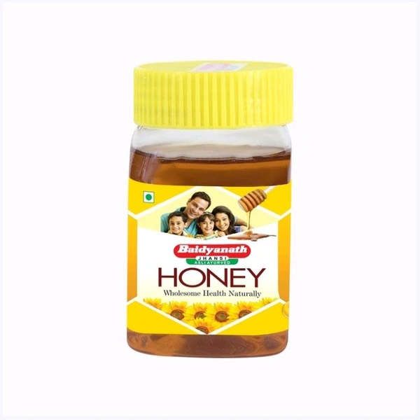 Baidyanath Honey - 1 kg