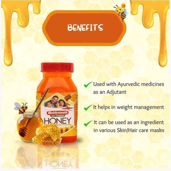 Baidyanath Honey - 1 kg