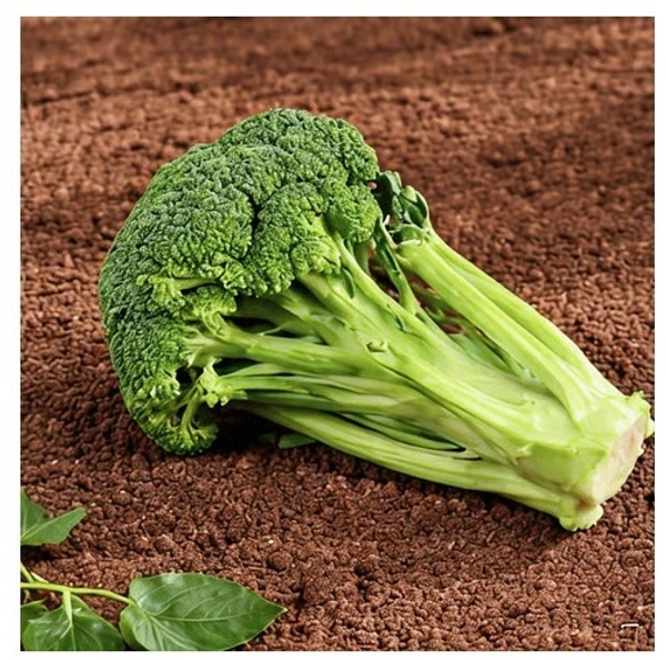 Organically Grown Broccoli