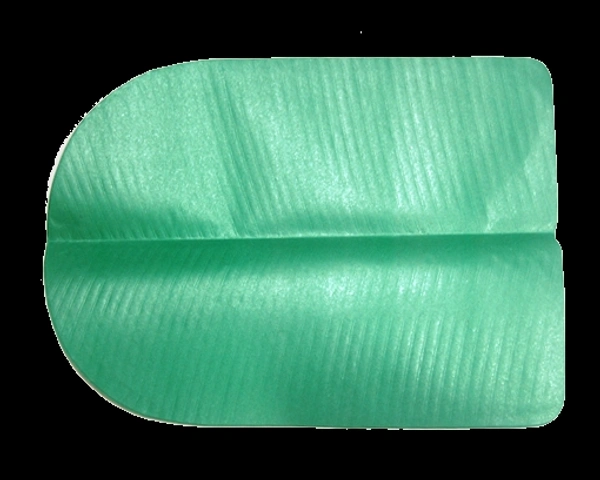 Paper Vazha Ela (10 Nos)