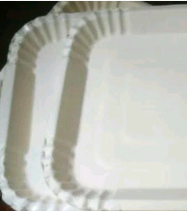 Birayani Plates  (12nos)