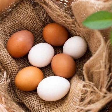 Egg & Dryfish   മുട്ട & ഉണക്കമീൻ
