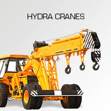 ESCORTS/ACE HYDRA CRANE