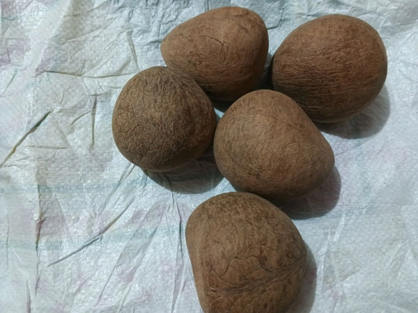 GADI GOLA (DRY COPRA TIPTUR) - LOOSE