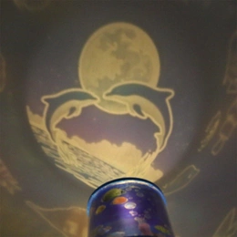 Thumbnail 6