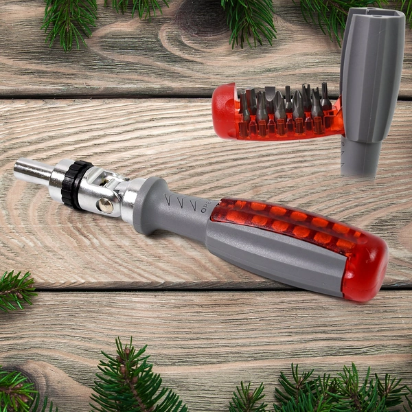 Multi Bits Ratchet Screwdriver Set with Adjustable Angle & 20 Bits